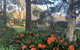 Treetops Bed And Breakfast - thumb 6