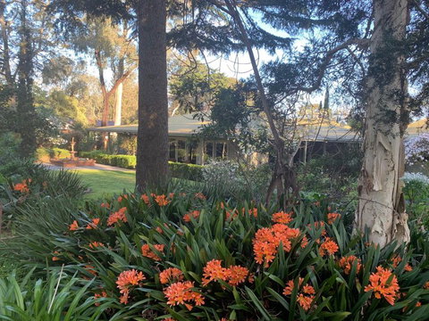 Treetops Bed And Breakfast - Tourism TAS 6