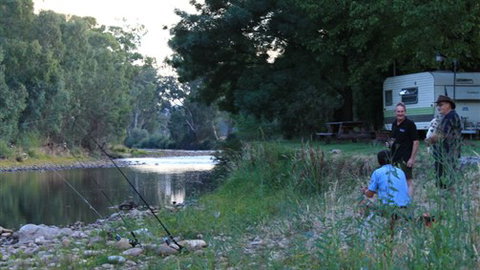 Gentle Annie Caravan And Camping Reserve - Tourism TAS 0