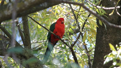 Gentle Annie Caravan And Camping Reserve - Tourism TAS 2