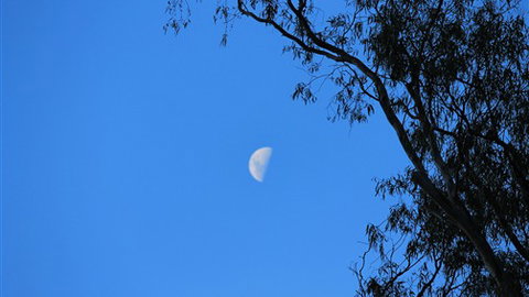 Gentle Annie Caravan And Camping Reserve - Tourism TAS 4