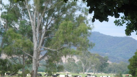 Gentle Annie Caravan And Camping Reserve - Tourism TAS 3