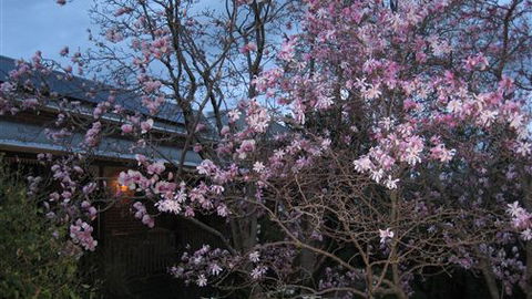 Finches Of Beechworth - Tourism TAS 3