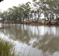 Riverbank Caravan Park - Tourism TAS