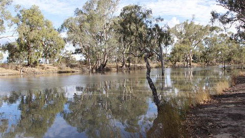Riverbank Caravan Park - Tourism TAS 5