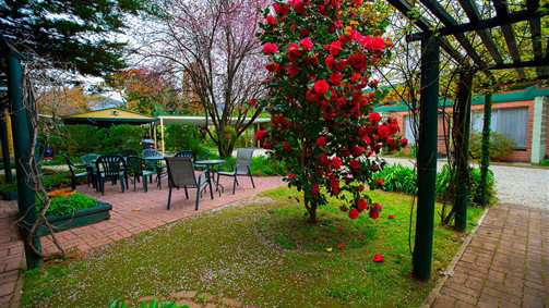 Bright VIC Tourism TAS