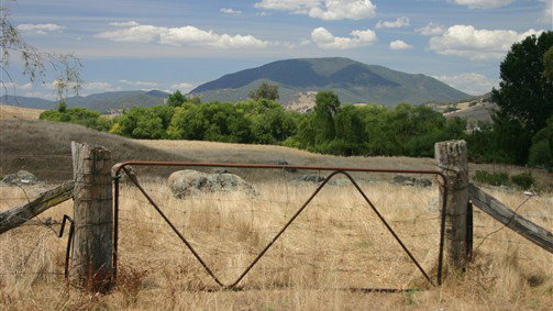 Cudgewa ACT Tourism TAS