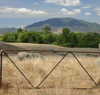 Elmstead Cottages - Tourism TAS