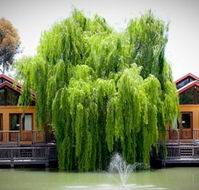 Perricoota Vines Retreat Echuca Moama - Hobart Tourism