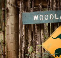 Woodlands Rainforest Retreat - Tourism TAS