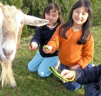 Johanna River Farm and Self Contained Cottages - Tourism TAS