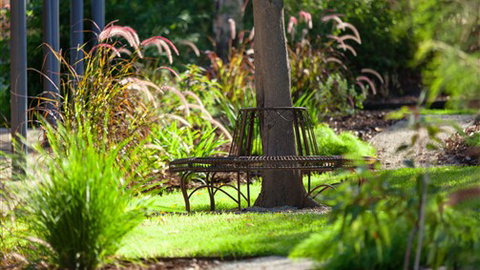 Comfort Inn & Suites Blazing Stump - Tourism TAS 5