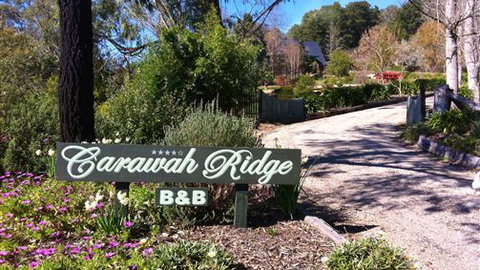 Carawah Ridge Bed And Breakfast - Tourism TAS 0