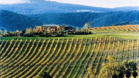 Yering Gorge Cottages - Hobart Tourism 1