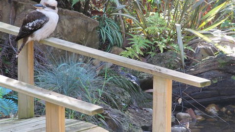 Myers Creek Cascades Luxury Cottages - Tourism TAS 5