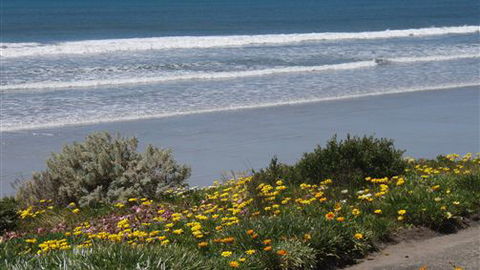 Central Motel Port Fairy - Hobart Tourism 4