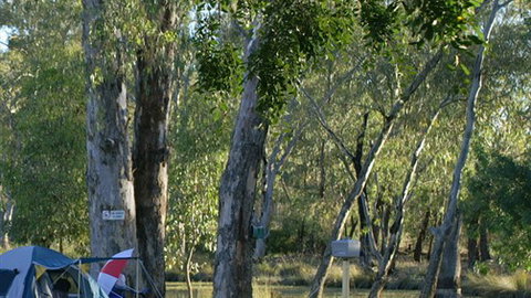 Numurkah Caravan Park - Tourism TAS 2
