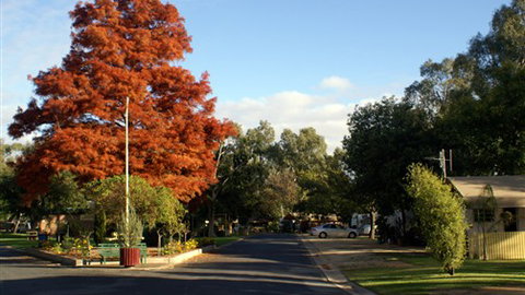 Numurkah Caravan Park - Tourism TAS 6