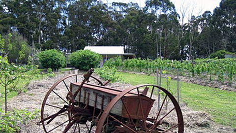 Pennyroyal Raspberry Farm & Cidery - Tourism TAS 2