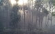 Carinya Park - thumb 3