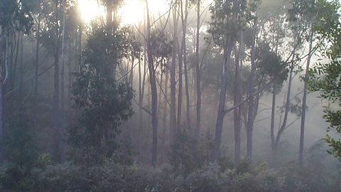 Carinya Park - Tourism TAS 3
