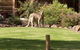 Southern Grampians Cottages - thumb 0