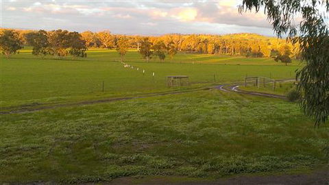 Rotherlea Lodge - Tourism TAS 4