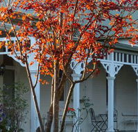 Yarra Gables Motel