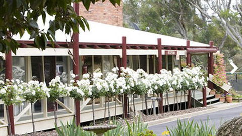Golden Heritage Motor Inn - Tourism TAS 6