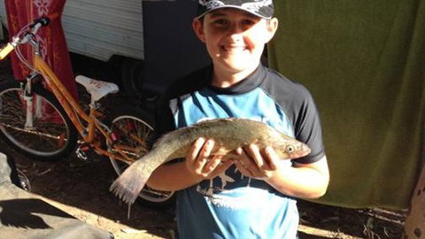 Boomerang Way Tourist Park - Tourism TAS 4