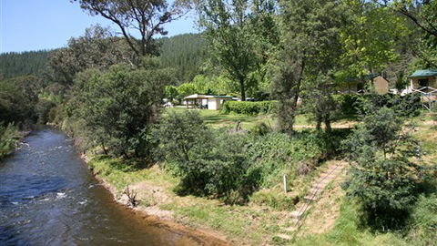 Porepunkah Pines Holiday Park - Tourism TAS 3