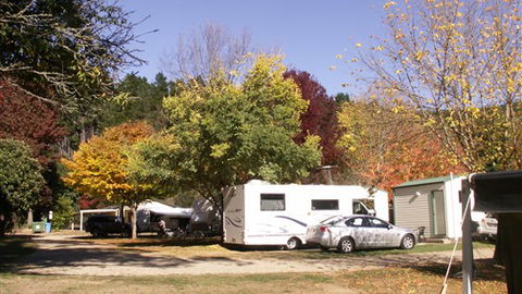 Porepunkah Pines Holiday Park - Tourism TAS 6