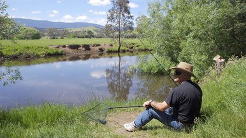 BIG4 Taggerty Holiday Park - Hobart Tourism 4