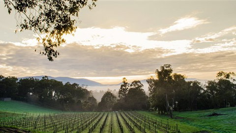 Ainsworth Estate - Tourism TAS 1