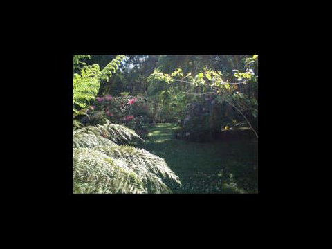 A Country House At Winstanley - Hobart Tourism 4