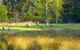 Waterholes Guest House - thumb 4