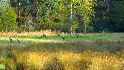 Waterholes Guest House - Hobart Tourism 4