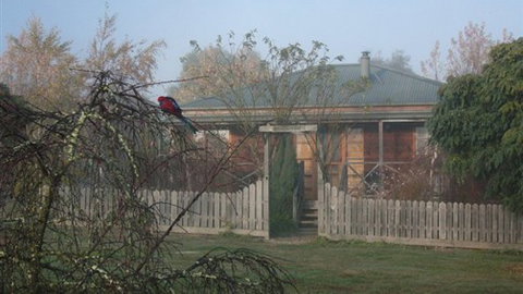 Sanctuary Park Cottages - Tourism TAS 1