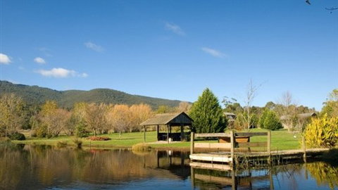 Sanctuary Park Cottages - Tourism TAS 0