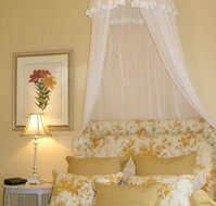 Otira On Needle's Eye - Tourism TAS