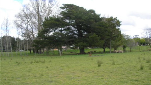 Auberge Woodend - Tourism TAS 3