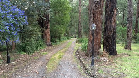 Emerald Creek Cottages - Tourism TAS 5