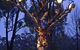 Barkala Farmstay And Blue Wren Bush Cafe - thumb 8