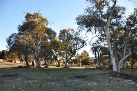 Braemar Bay Holiday Park - Hobart Tourism 5