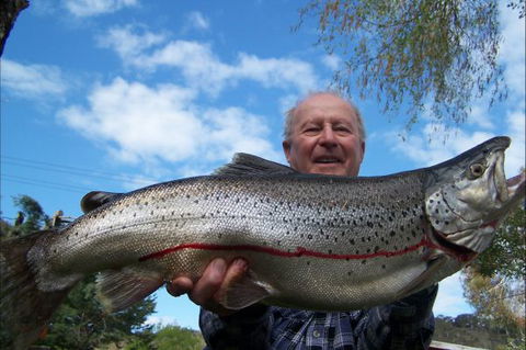 Braemar Bay Holiday Park - Hobart Tourism 7