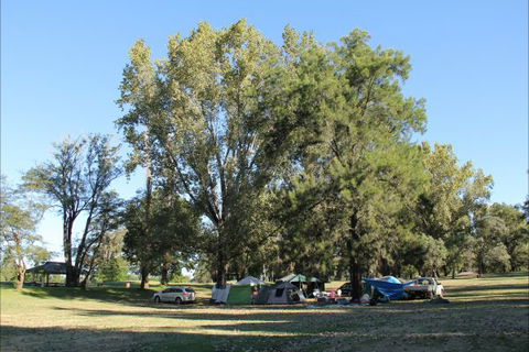 Creel Lodge - Tourism TAS 20