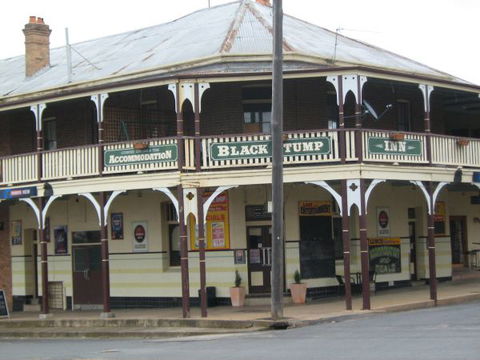 Coolah Black Stump Inn - Tourism TAS 1