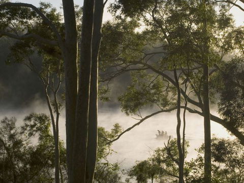Hobbs Point Cottage - Hobart Tourism 4