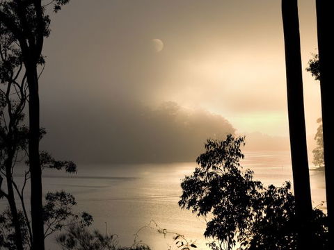 Hobbs Point Cottage - Hobart Tourism 5