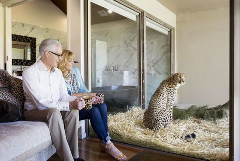 Jamala Wildlife Lodge - Tourism TAS 3